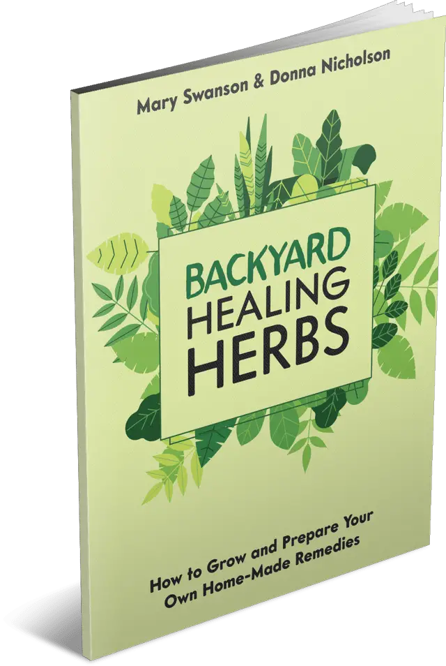 backyard healing herbs banner 1